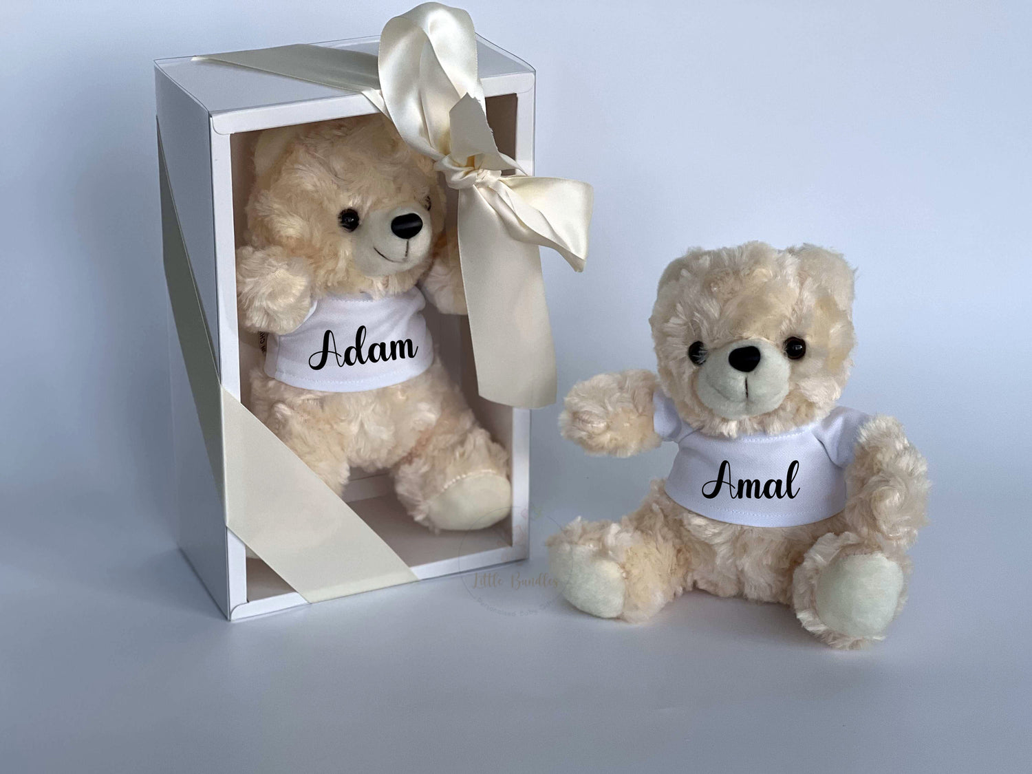 2 plush teddy bears with name personalisation boxed and unboxed